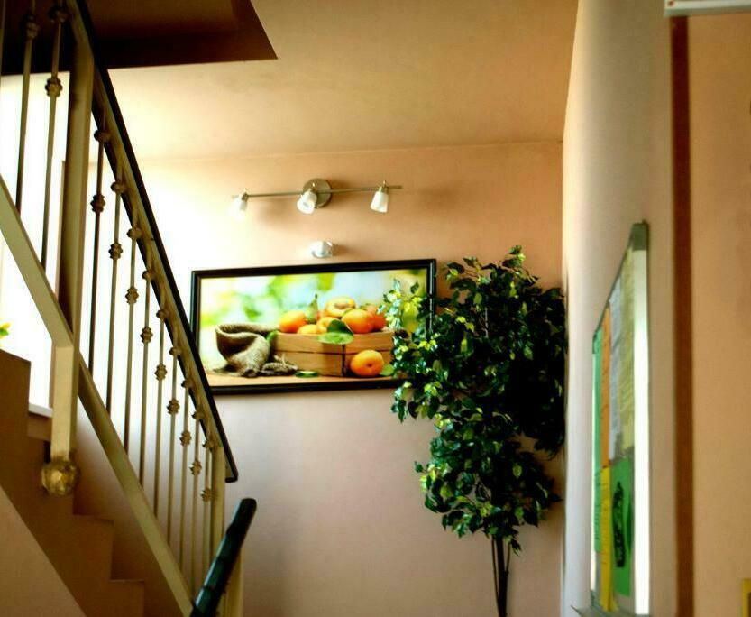 Необходимо переночевать или остановиться на время в Ростове на Дону?! Добро пожаловать в мини-отель "АБРИКОС"! Гостиница Абрикос г. Ростов на Дону